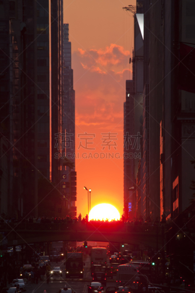 曼哈顿悬日,42街,夏至,曼哈顿时代广场,垂直画幅,天空,夏天,明亮,充满的,都市风景