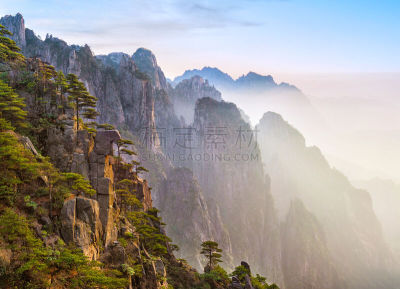 中国,黄山,,名声,秘密,松木,著名景点,松树,植物,岩石