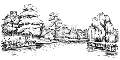 绘画插图,河流,矢量,地形,全景,动物手,香蒲,河岸,柳树,倒影湖