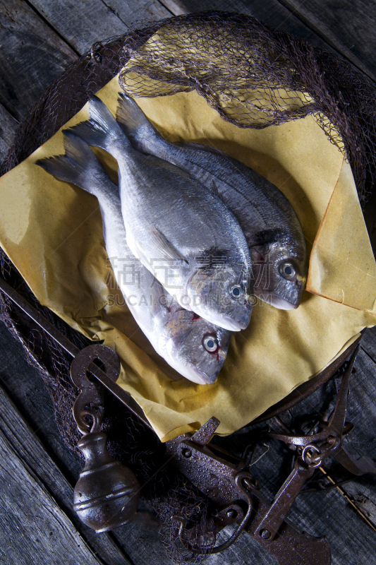 海鲷,动物的鳞,高视角,多拉达海岸,金头鲷,垂直画幅,生食,膳食,海产,动物身体部位