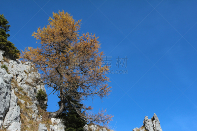 山,詹娜,美,水平画幅,无人,户外,图像,巴伐利亚,高处,阿尔卑斯山脉