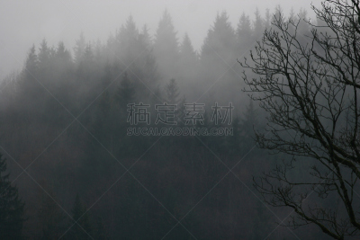 澳大利亚阿尔卑士山脉,天空,水平画幅,云,夜晚,雪,阴影,戏剧性的天空,光,巴伐利亚
