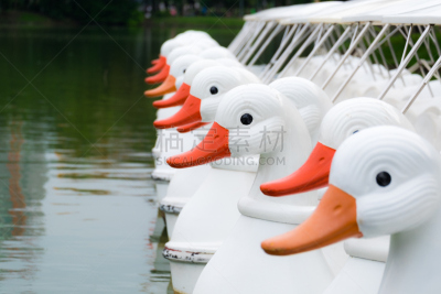 鸭子,脚踏船,水,美,公园,休闲活动,水平画幅,无人,旅行者,周末活动