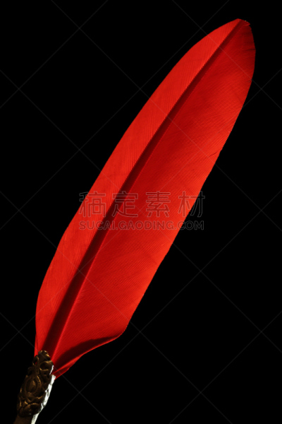 鹅毛笔,红色,黑色背景,油墨缸,过时的,手稿,复古风格,古董,古典式,影棚拍摄