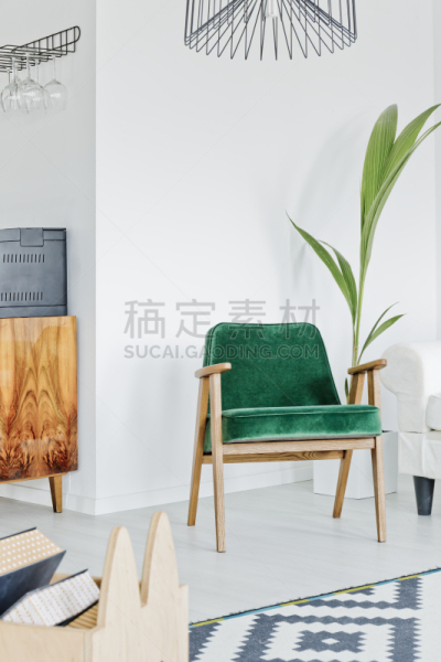 白色,扶手椅,住宅房间,绿色,垂直画幅,新的,灵感,无人,椅子,古典式