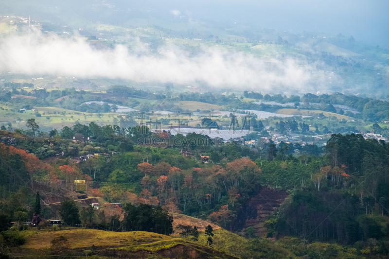 欧偌西火山,山谷市,地形公园,天空,水平画幅,枝繁叶茂,山,无人,户外,草