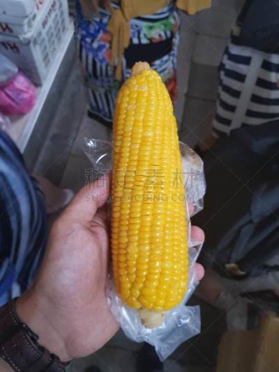 玉米,蔬菜,清新,食品,泰国,成分,甜食,农场,植物,夏天