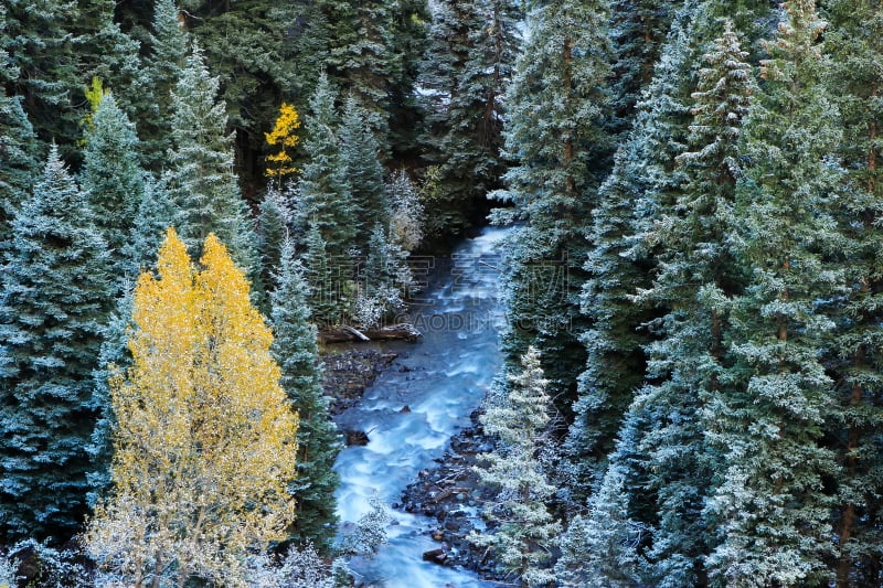 斯奈佛尔斯山脉,雪,科罗拉多州,山,清新,海登山,uncompahgre national forest,奥瑞县,白杨类,暴风雨