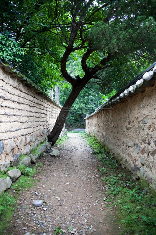 房屋,自然,传统,季节,垂直画幅,图像,池塘,无人,韩国,朝鲜半岛