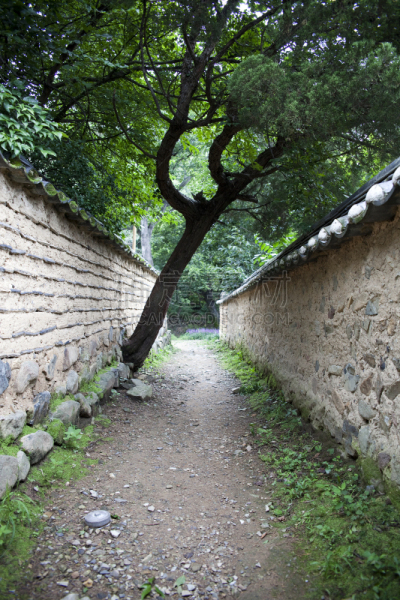 房屋,自然,传统,季节,垂直画幅,图像,池塘,无人,韩国,朝鲜半岛