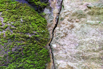 苔藓,石头,自然,森林,二分裂,减法,鱼跃,漏泄,公园,水平画幅