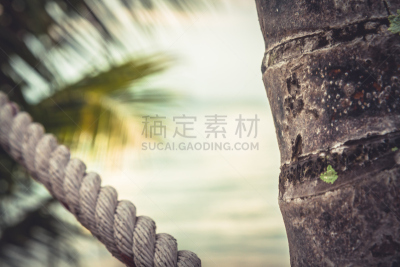 夏天,棕榈树,海滩,背景,鸡尾酒,高雅,接力赛,度假,日落,复古