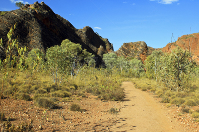 purnululu national park,小路,沃伦g哈定,邦格尔邦格尔山脉,西澳大利亚,水平画幅,沙子,偏远的,户外,大洋洲
