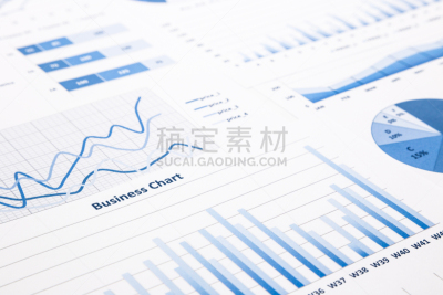 商务,图表,数字,蓝色,报告,社会保险,果馅奶酥卷,结论,领导能力,文档