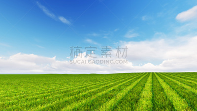 田地,云,三维图形,绿色,草地鹨,仅天空,天空,公园,气候,水平画幅