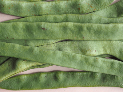 mange-tout,豌豆,豆科植物,蔬菜,阿荷高勒桥,水平画幅,绿色,素食,豆,英国