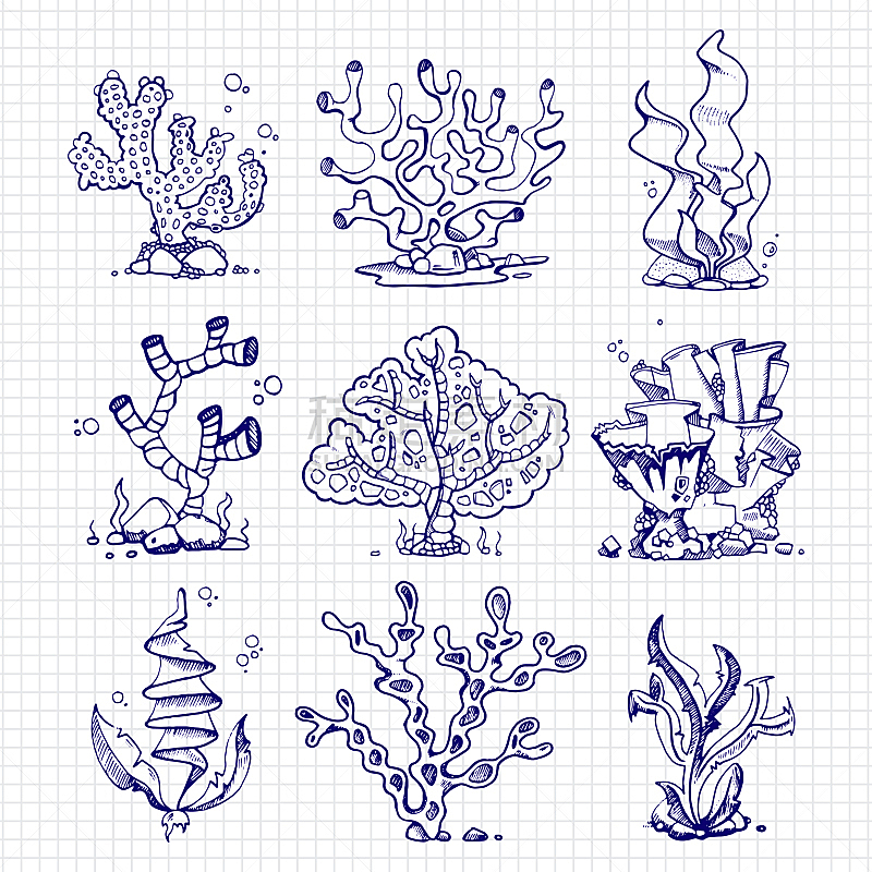 水下,海草,珊瑚,钢笔画,植物群,圆珠笔,绘画插图,水,艺术,符号