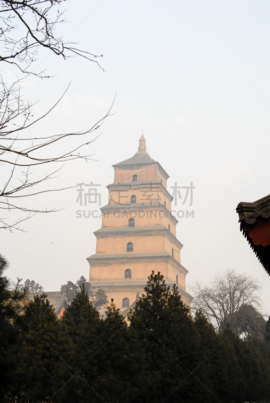 西安,宝塔,早晨,中国,巨大的,野外动物,大雁塔,唐朝,佛经,陕西省