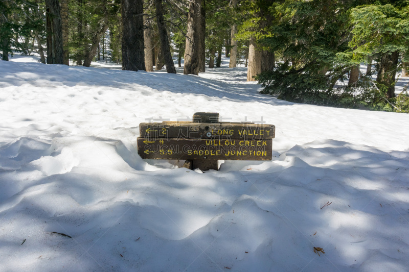 雪,加利福尼亚,小路,掩埋的,标志,山,圣吉辛托野生动物保护区,州立公园,圣伯那丁诺,风