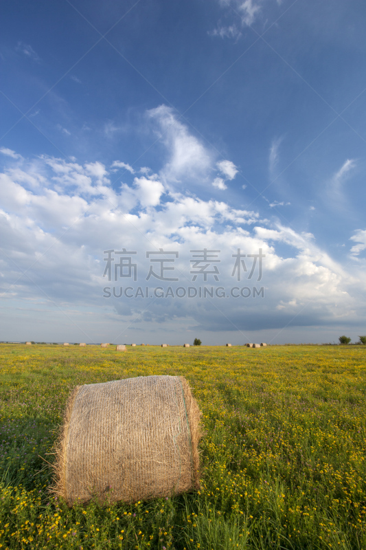 干草,自然,垂直画幅,天空,地形,干草卷,夏天,户外,卷边裤,草