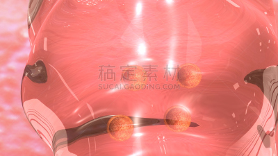 影像转移,胚胎,毛囊,人工授精,卵巢,人体细胞,装管,女性形象,水平画幅,形状