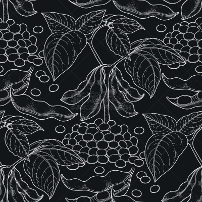 大豆,插画,豆荚,灵性,纺织品,素食,绘画插图,豆腐,白色,清新