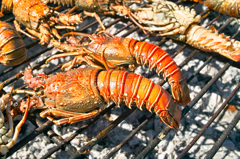 龙虾,烤肉架,图像聚焦技术,选择对焦,格子烤肉,碳烤,水平画幅,海产,烟,食品