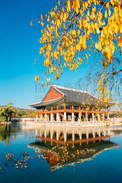 池塘,韩国,首尔,宫殿,景福宫,秋天,传统,古董,著名景点,屋檐