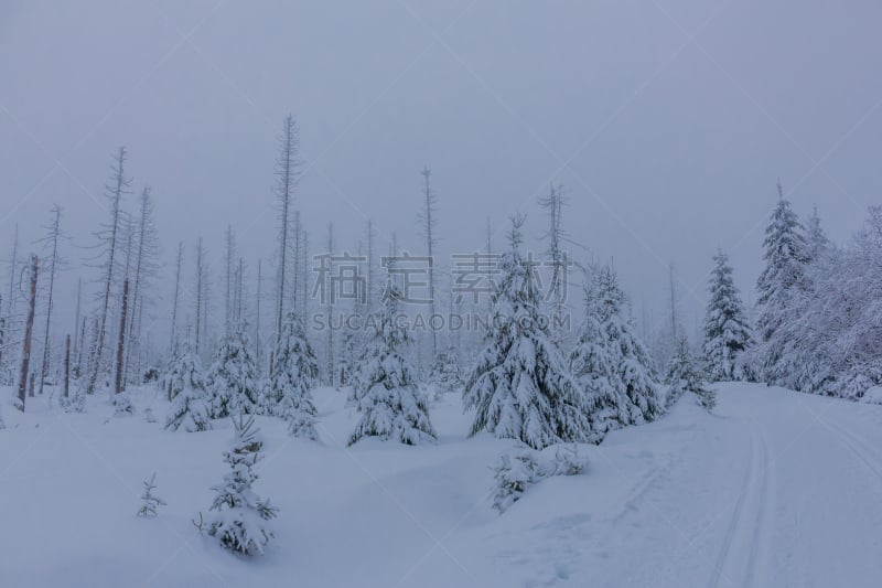 Auf dem Weg durch die schöne Winterlandschaft im Harz