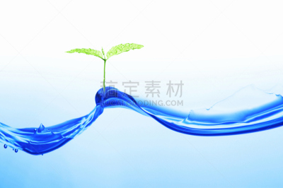 水,自然,上下跳动,水平画幅,绿色,秧苗,无人,蓝色,日本,水下