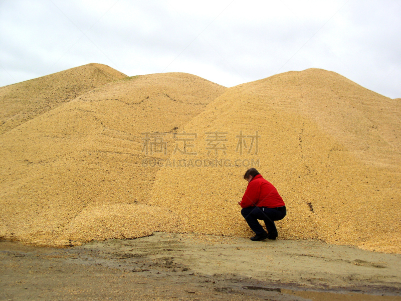 乙醇,谷类,泉,材料,食品和药物管理局,自动反斗卡车,水平画幅,能源,巨大的,含酒精饮料