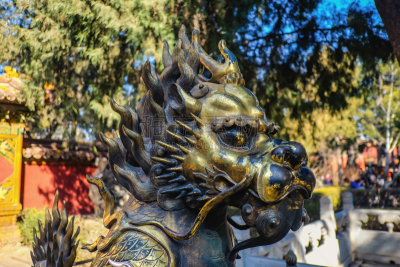 北京,狮王,禁止的,雕像,宫殿,古典式,动物,建筑,白色,远古的