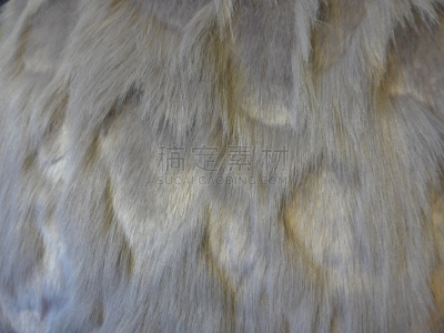 毛绒绒,毛皮,软玩具,长发,水平画幅,兔子,皮革,特写,厚衣服,白色