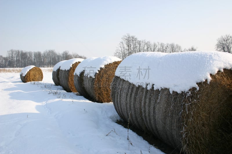 雪,干草卷,自然,公园,水平画幅,阴影,户外,太阳,冬天,星期日