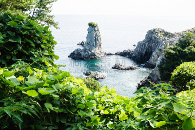 韩国,济州岛,海洋,与众不同,岩层,西归浦,叶子,水,美,水平画幅