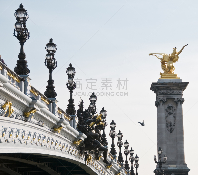 鸟类,亚历山大三世桥,天空,黄金,檐口,水平画幅,齿饰,洛可可风格,鸽子,建筑檐口