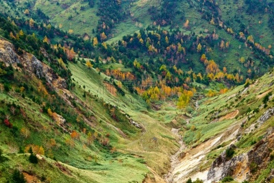 秋天,风景,滋贺县,叶子,长野县,色彩鲜艳,草津山,户外活动,植物,背景