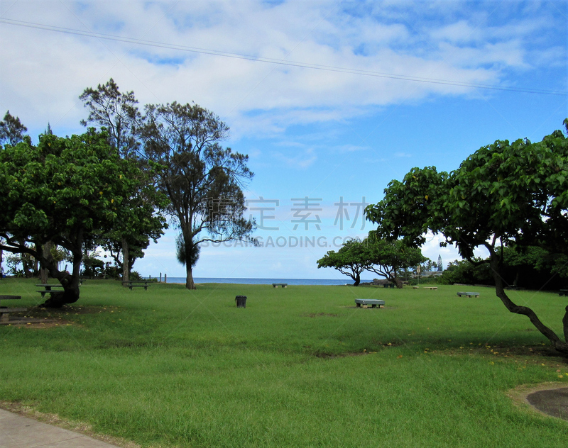 外米亚海湾,岩石,瓦胡岛,野餐桌,海滩,哈莱伊瓦,社区,跳,跳,问候