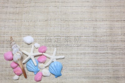 贝壳,海洋,自然,留白,地球女神,休闲活动,水平画幅,夏天,看风景,休闲追求