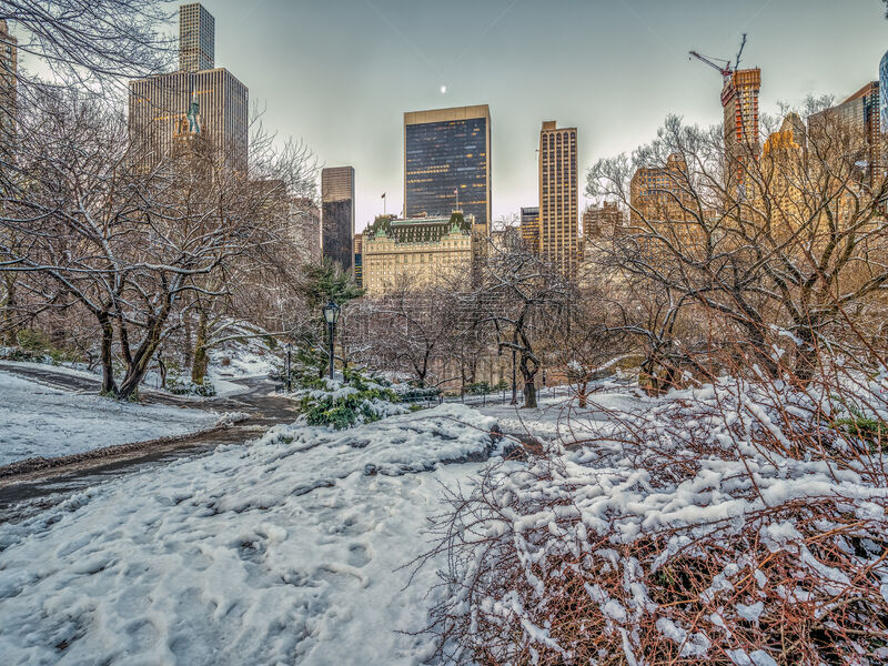 纽约,冬天,中央公园,自然,寒冷,城市生活,环境,广场饭店,图像,雪