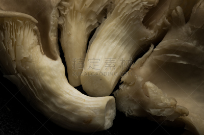 野菇,石片,黑色背景,水平画幅,素食,无人,成分,英国,蘑菇,生食