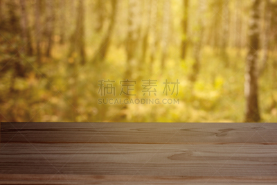 空的,秋天,桌子,森林,边框,厚木板,独腿桌子,复古风格,枝繁叶茂,模板