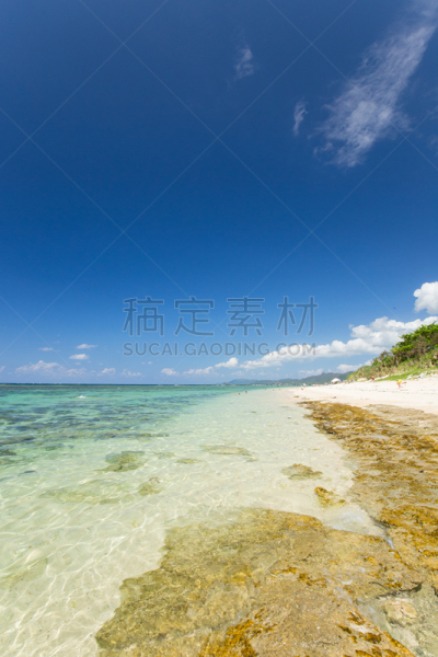 海滩,日本,海岸线,垂直画幅,水,里山,度假胜地,沙子,无人,江岛无须鳚