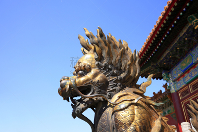 北京,铜狮子,颐和园,胡青,雌狮,故宫,禁止的,铜,宫殿,纪念碑
