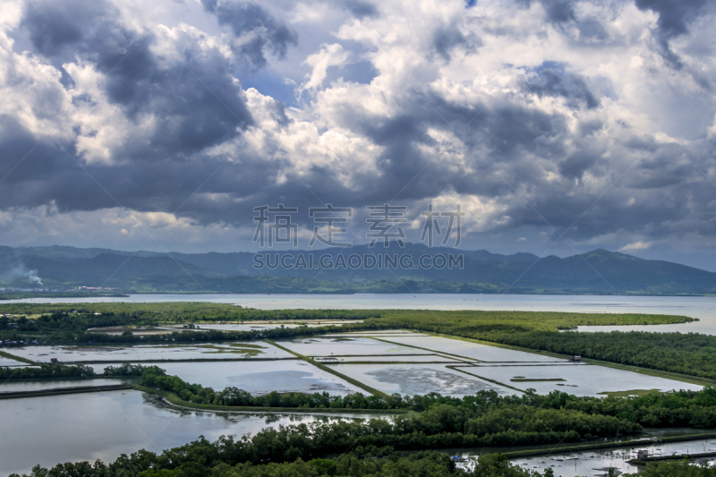 风景,农业,云景,自然界的状态,环境,云,草,自然美,稻田,湖