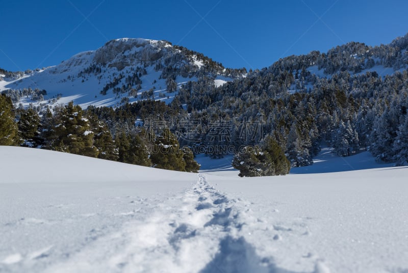 脚印,雪,寒冷,空的,法国,the vercors,深雪,松树,户外,天空