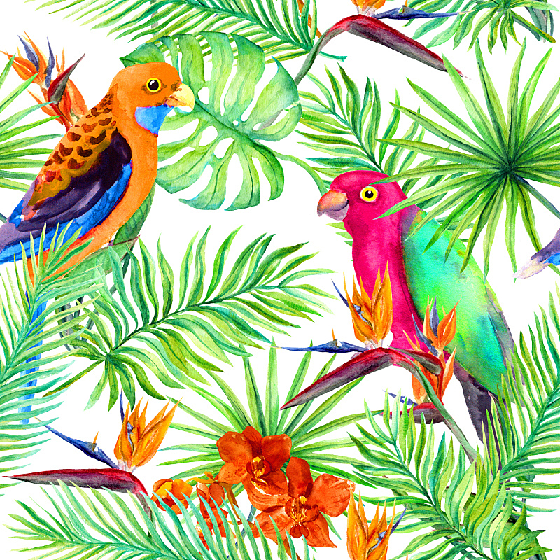热带的花,鹦鹉,鸟类,四方连续纹样,叶子,森林,水彩画,热带雨林,鸡尾酒,绘画插图
