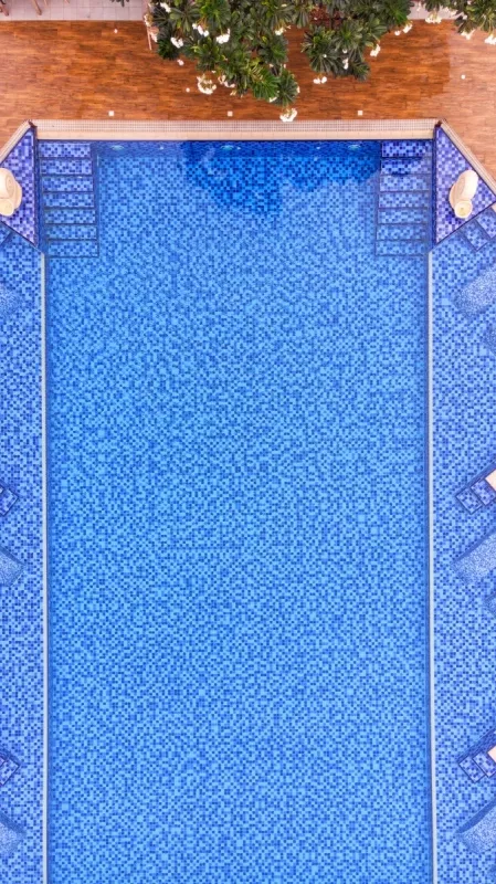 华贵 酒店 水 砖地 游泳池 赤素馨花 背景聚焦 小册子 几何形状 复杂性图片素材下载 稿定素材