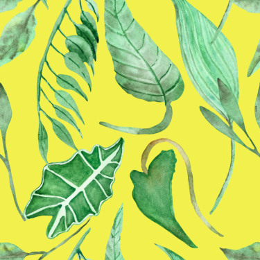 纺织品,四方连续纹样,纹理,自然,热带雨林,叶子,式样,壁纸,反差,绿色