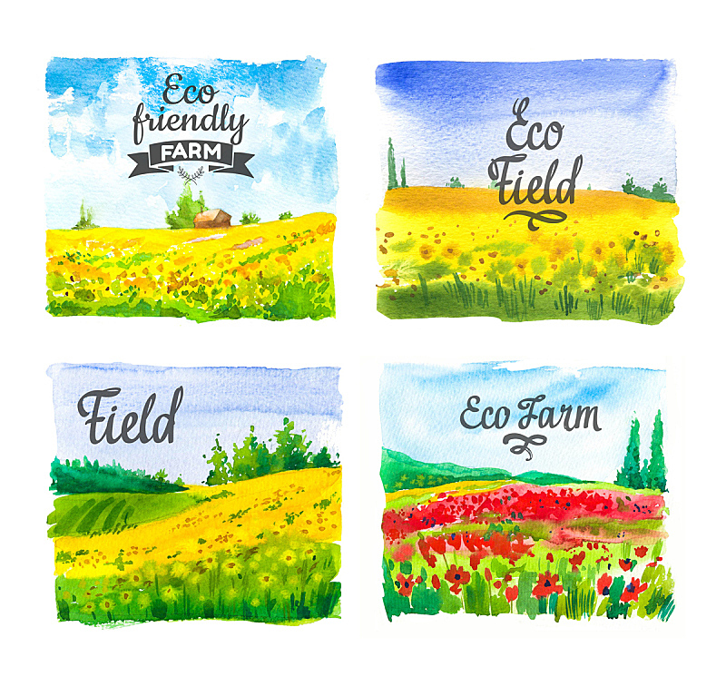 农业,农场,向日葵,背景,绘画插图,自然,有机食品,田地,环境